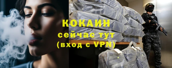 твердый Волоколамск