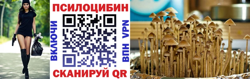 купить наркотик  Таганрог  Псилоцибиновые грибы Psilocybe 
